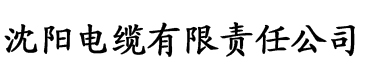 片多多影院电缆厂logo